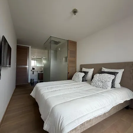 D'exceptionnel - Rooftop Avec Piscine Privative Lejlighed *